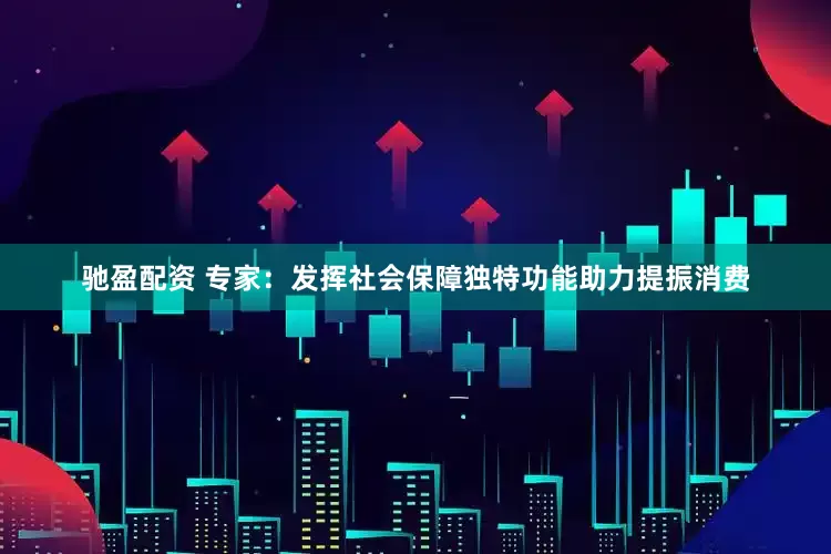 驰盈配资 专家：发挥社会保障独特功能助力提振消费