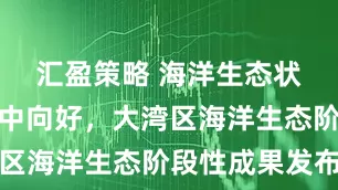 汇盈策略 海洋生态状况总体稳中向好，大湾区海洋生态阶段性成果发布