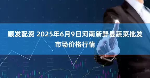 顺发配资 2025年6月9日河南新野县蔬菜批发市场价格行情